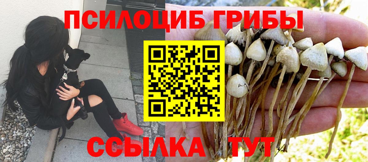 Галлюциногенные грибы Psilocybine cubensis Острогожск